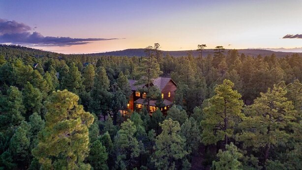 Una cabaña de madera rodeada de un bosque denso, con ventanas visibles y un interior bien iluminado.