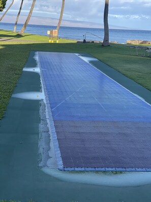 Sport court - Papakea Oceanview Condo! Beautiful Views! Non-Smoking (Lahaina)