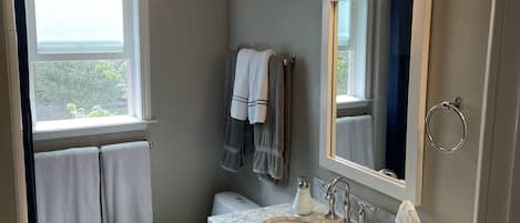 Combined shower/tub, towels, soap, toilet paper