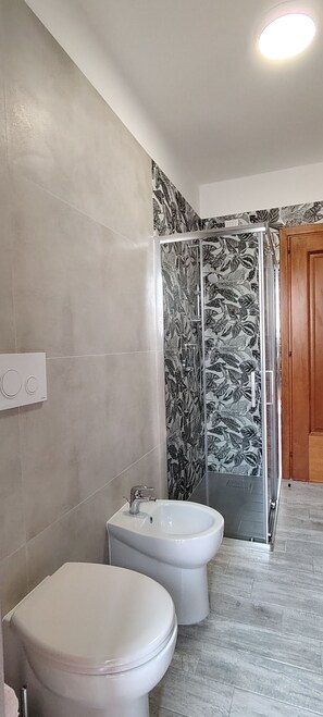 Shower, hair dryer, bidet, towels