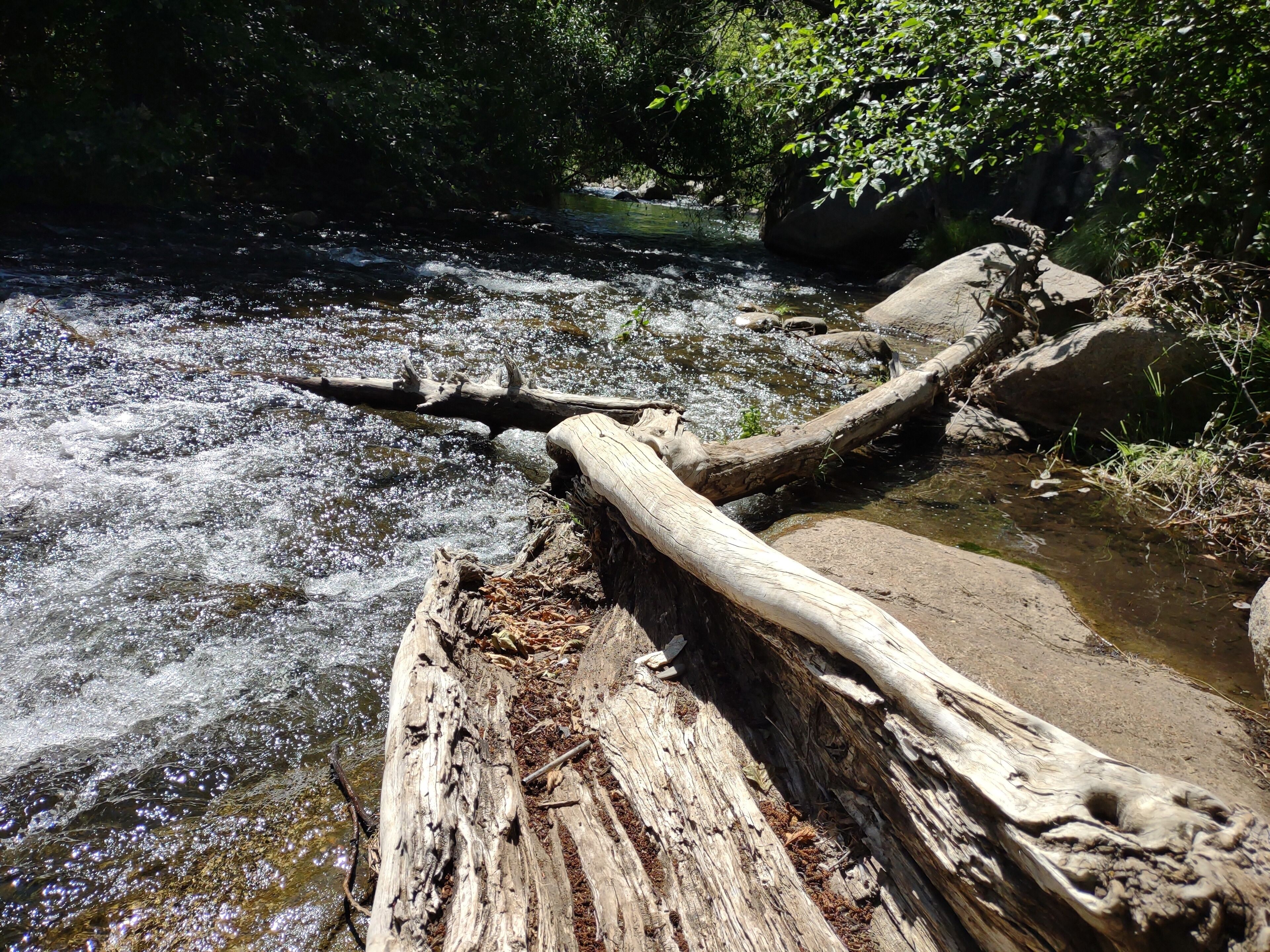 A river with a fallen log in the foreground.