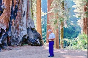 Miscellaneous - Captivating Barn-Blacksmith Shop nearby GIANT SEQUOIAS  (Springville)