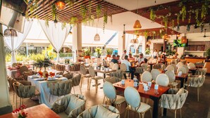 An indoor dining area with tables and chairs, hanging plants, and a bar area.