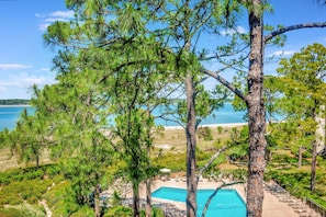 Pool - 1864 Beachside Tennis at The Sea Pines Resort (Hilton Head Island)
