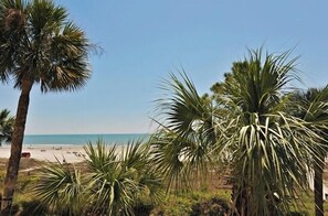 Pantai berhampiran 