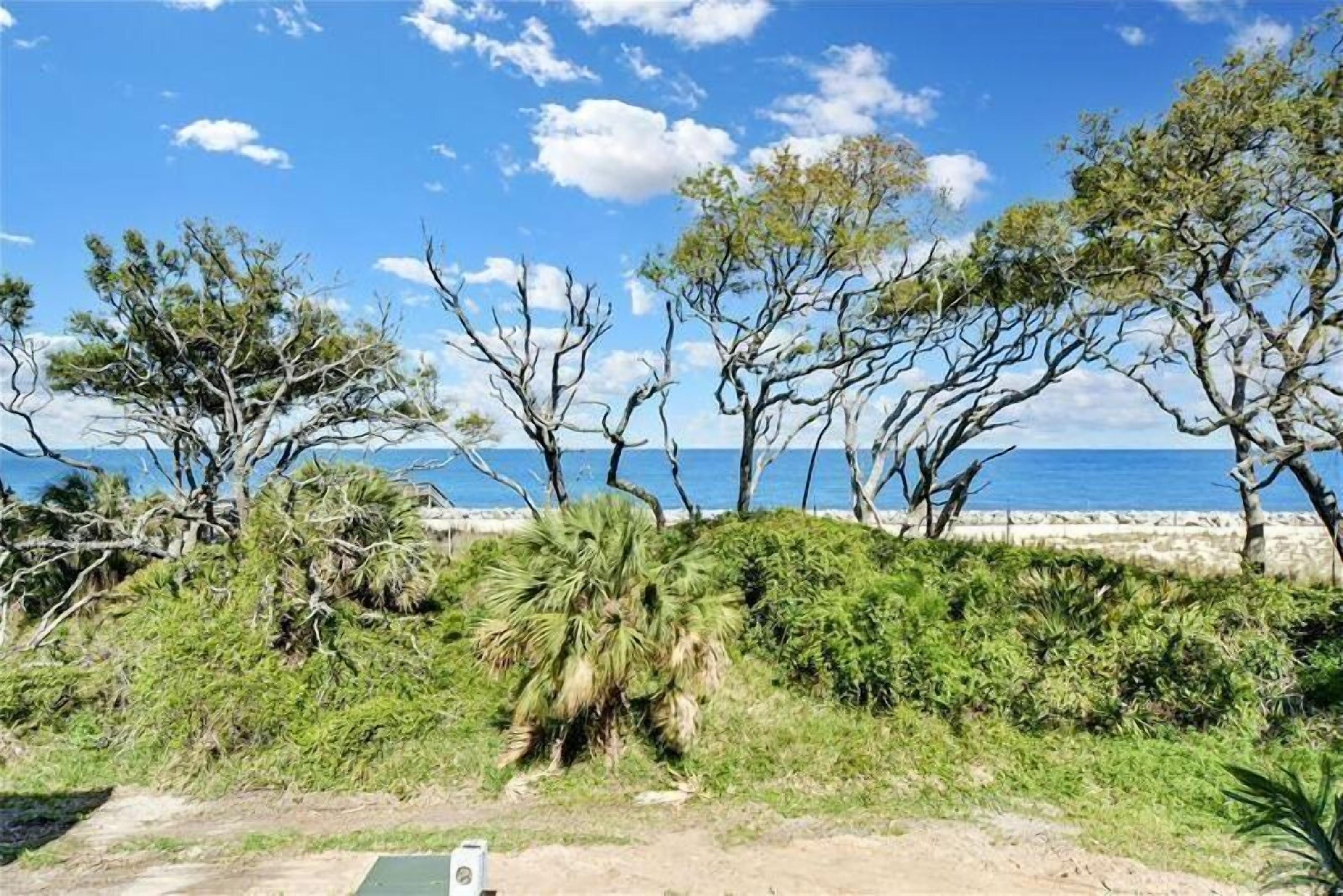 A coastal landscape with trees and a view of the sea.
