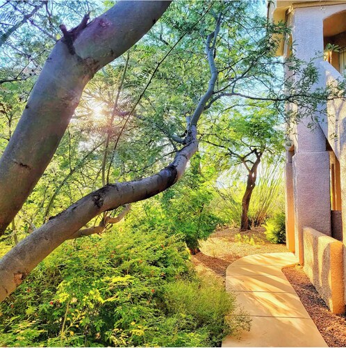 Luxury 3BD/2BA Desert Oasis Near Tucson w Pool, Views, Low Summer Rates! 🌄