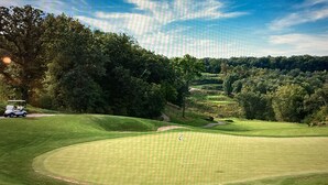 En golfbana med fri sikt över greenen, en golfbil och omgivande träd.