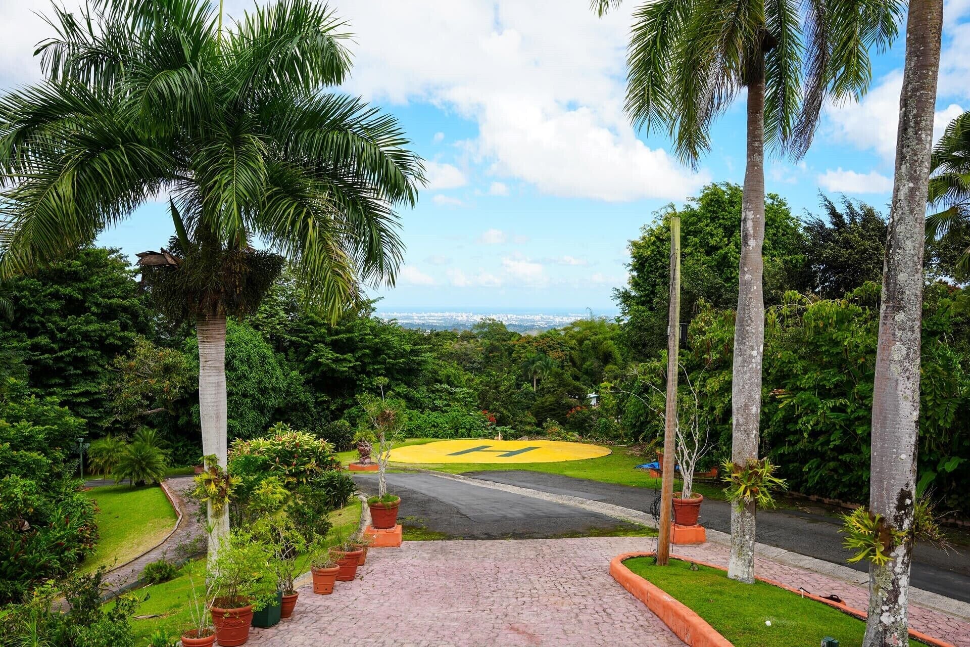 A lush garden with palm trees and a paved pathway leading to a yellow 'H' marked area.