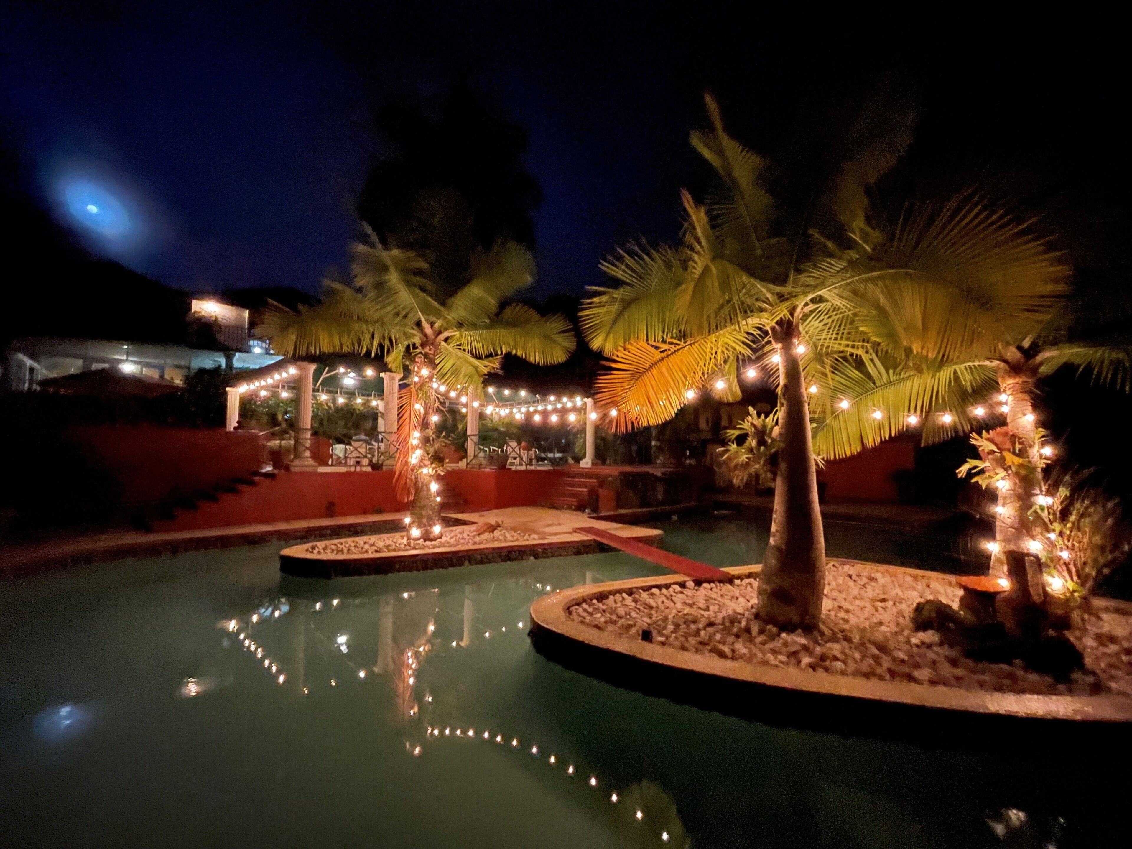 Un espace piscine aménagé pour la nuit, avec des palmiers et des guirlandes lumineuses.
