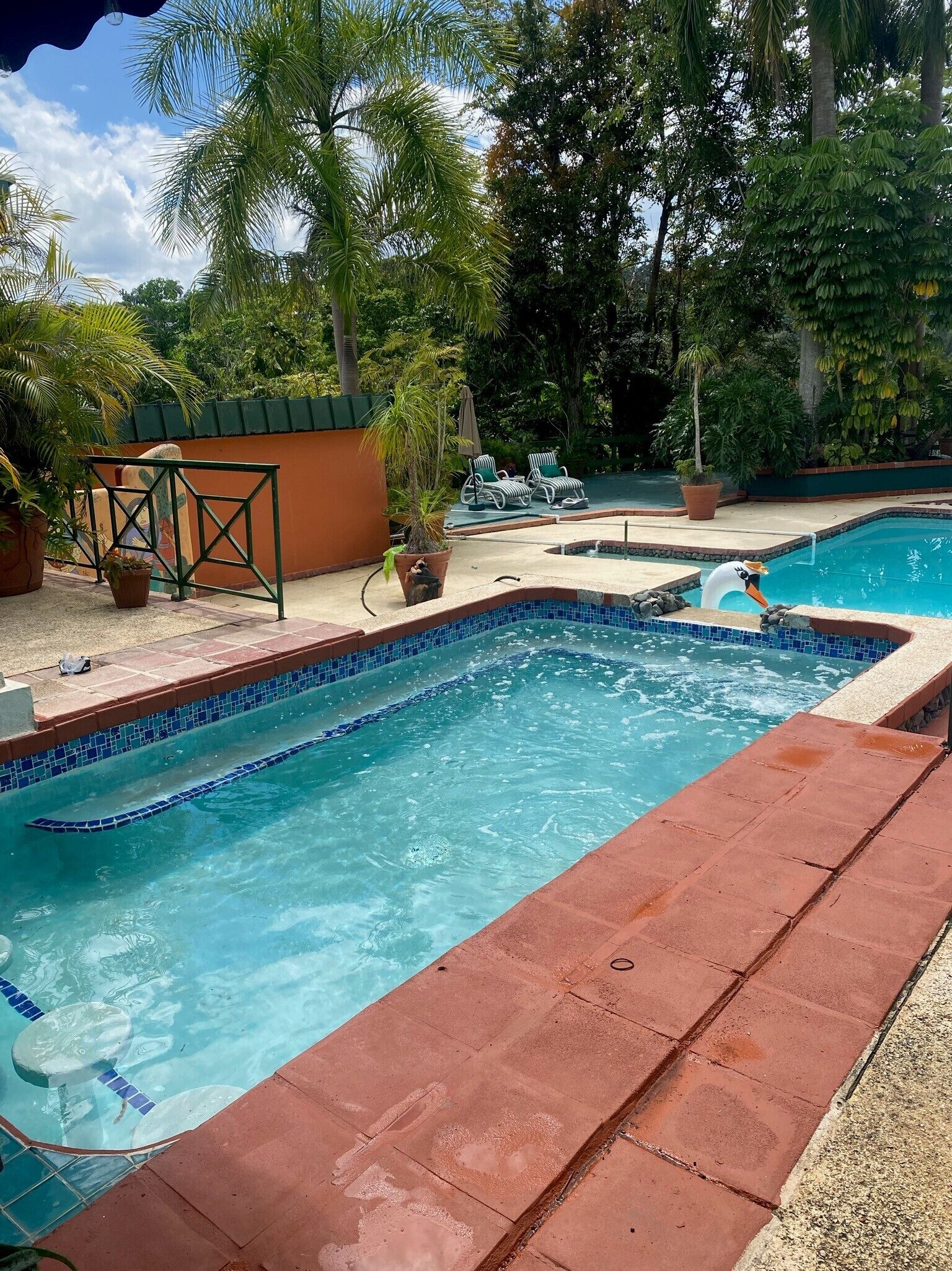 Una piscina rectangular con borde de azulejos, rodeada por una solana de ladrillo rojo. Se observan sillones de descanso y una mesita con una planta en maceta cerca.