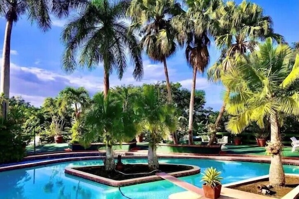 Outdoor pool, pool umbrellas, sun loungers