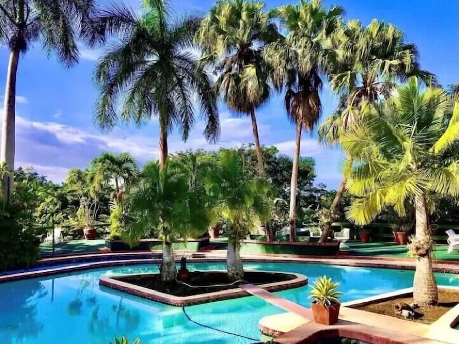 Outdoor pool, pool umbrellas, sun loungers