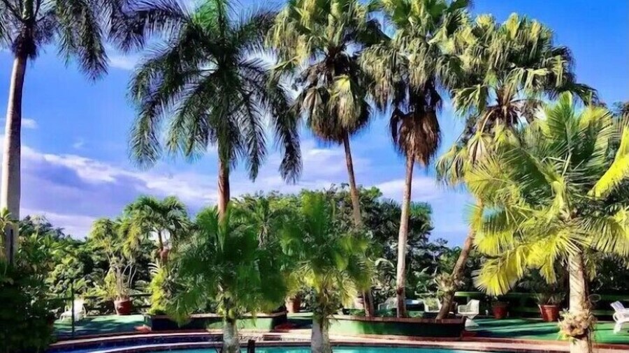 Serena Boutique Hotel