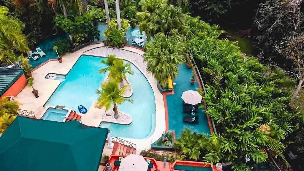 An aerial view of a resort with a swimming pool surrounded by palm trees and lounge chairs.