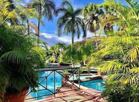 Una piscina al aire libre, sombrillas, sillones reclinables de piscina