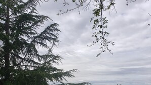 Un espace extérieur verdoyant, avec des arbres et une vue sur un paysage lointain.