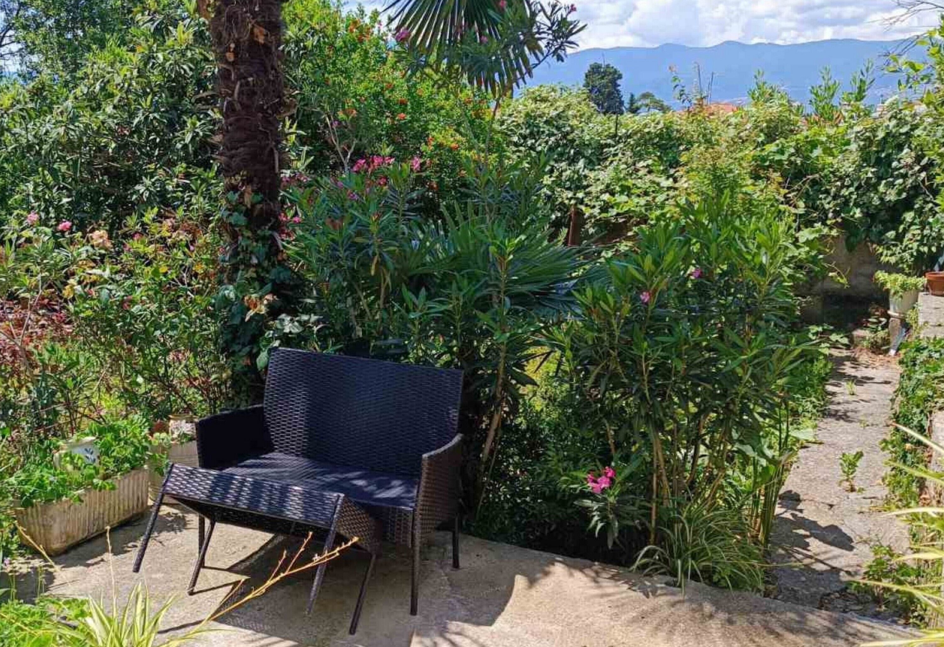 A garden with a black wicker bench surrounded by lush greenery and flowering plants.