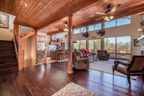 TV, fireplace, video games, DVD player