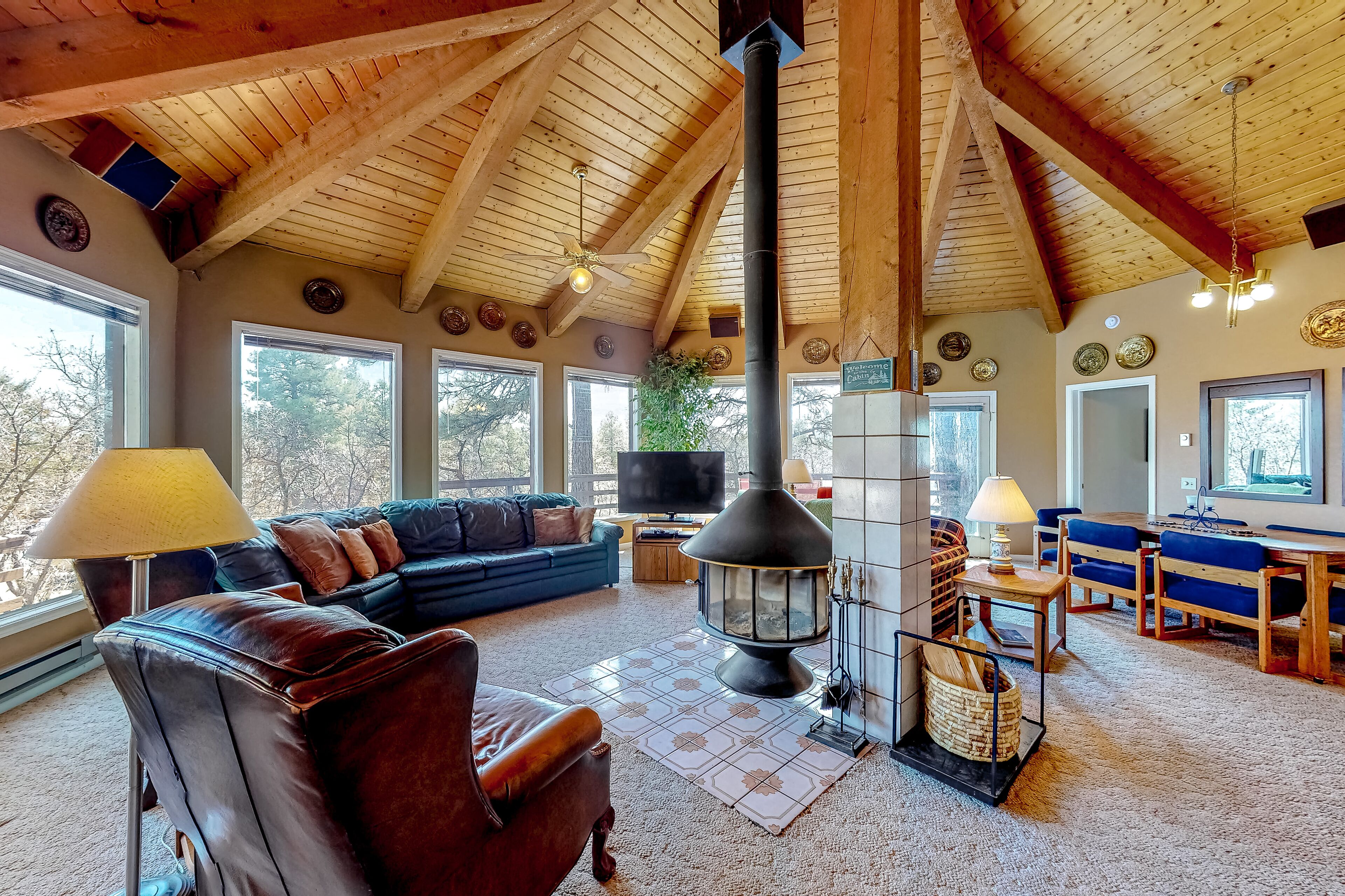 Televisio, takka, DVD-soitin