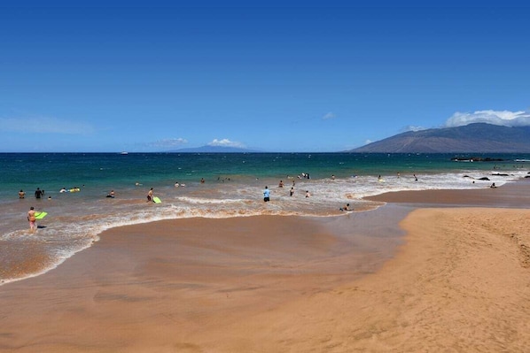 Plage à proximité, chaises longues, serviettes de plage