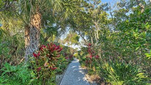 A pathway surrounded by lush greenery and various plants.