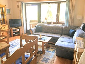 تلفزيون، مشغل دي في دي