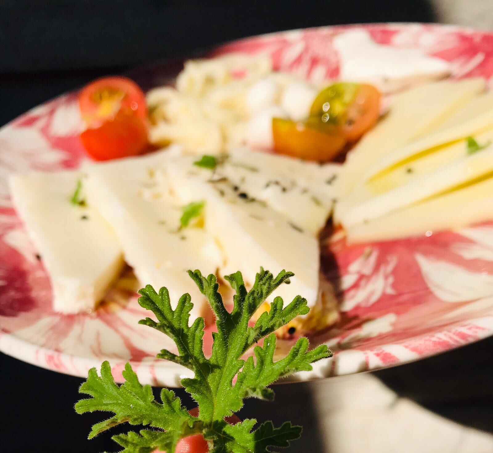 A plate with various cheeses, tomatoes, and a sprig of parsley.