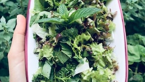 A hand holding a plate of mixed greens salad with lemon wedges. - Adadaki Evimiz Bozcaada (Bozcaada)