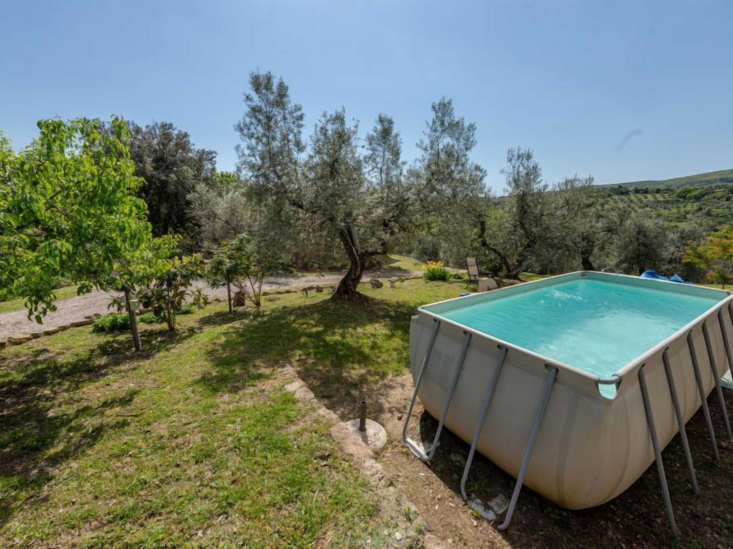 A rectangular swimming pool with a metal frame, surrounded by a grassy area with trees and shrubs.
