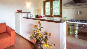 A kitchen with a built-in stove, a window above the sink, and a vase with flowers on the counter. - Fonte al Tesoro by Interhome (Sassofortino)
