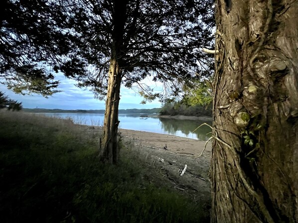 Un paysage naturel comprenant une rivière, une plage de sable et des arbres.