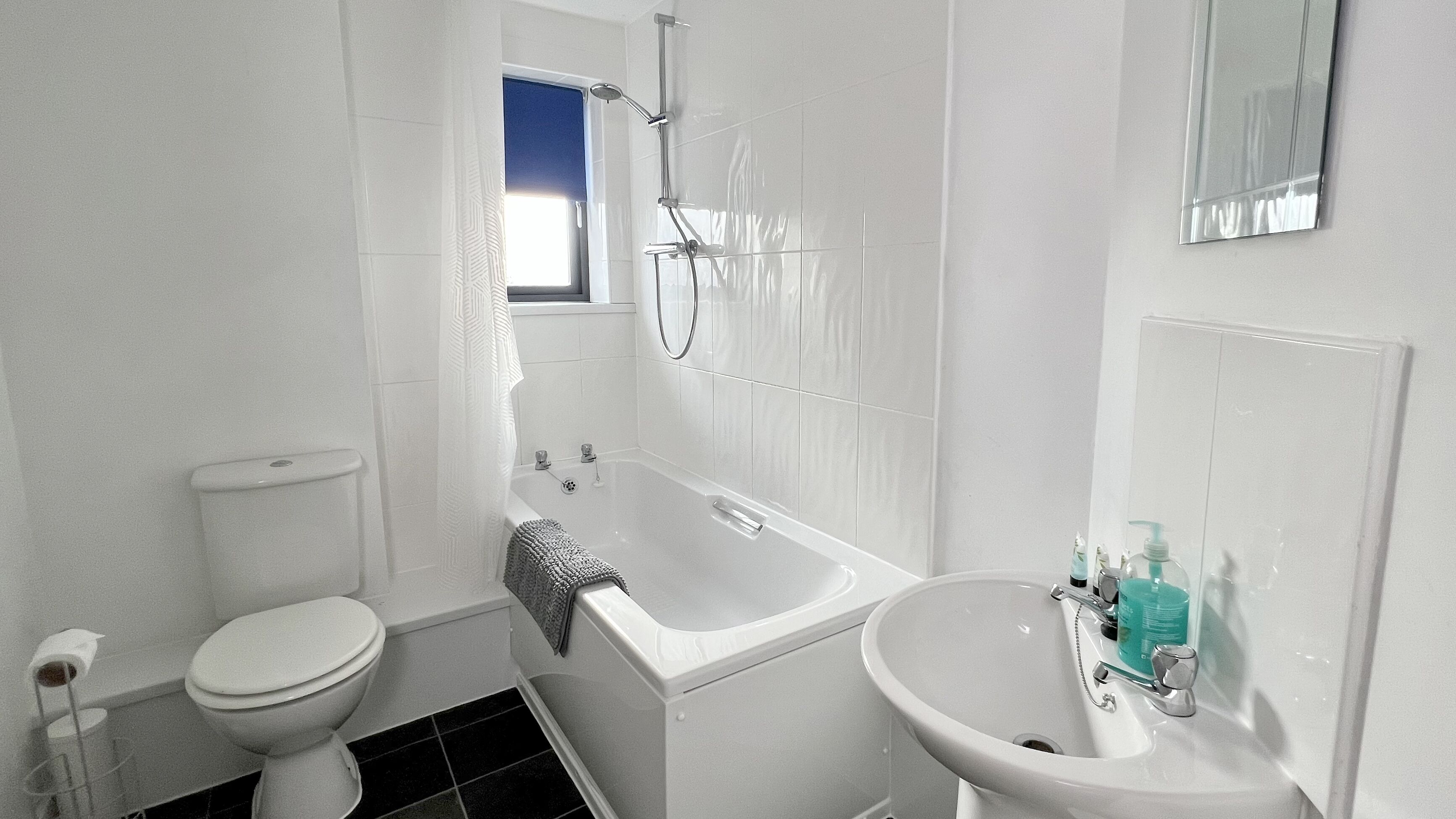 Shower, hair dryer