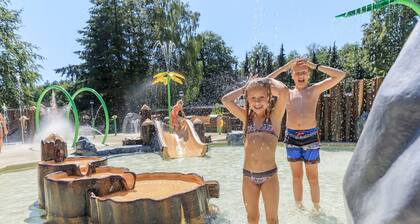 Beautiful lodge in Appelscha with terrace