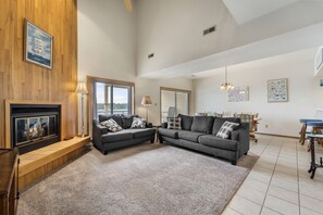 TV, fireplace, books