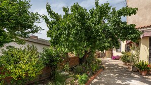 Un jardín con diversas plantas y un árbol, un muro de ladrillo y un camino que lleva a un edificio.