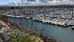 A marina with numerous boats docked, surrounded by rocky terrain and purple flowers. - House with garden 800m from the 2 beaches of Saint Cast (Saint-Cast-le-Guildo)