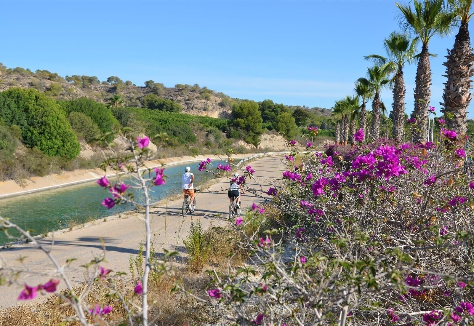 Una carretera costera con ciclistas, un río y vegetación circundante.