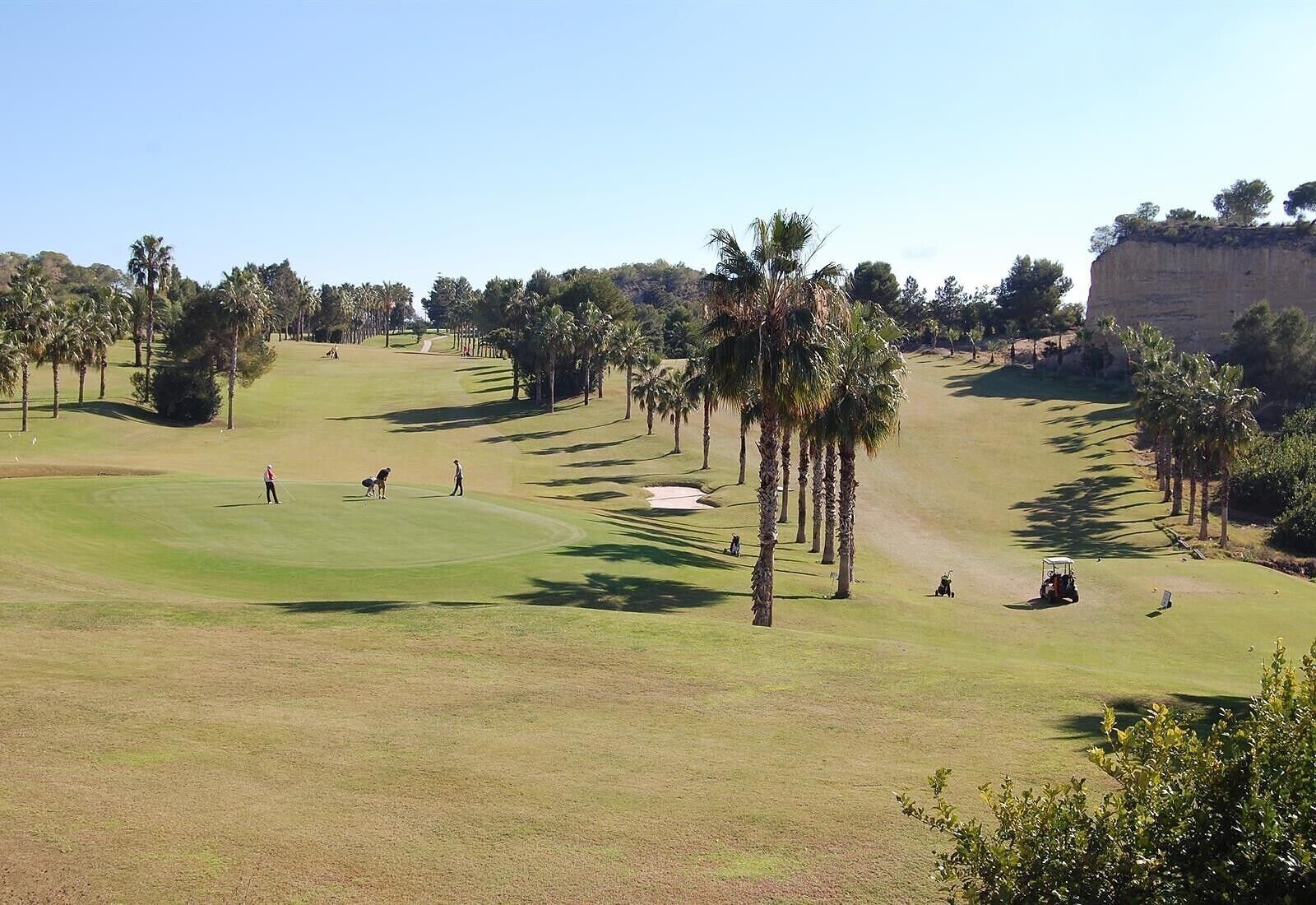 A golf course with palm trees, a sand bunker, and a clear sky.