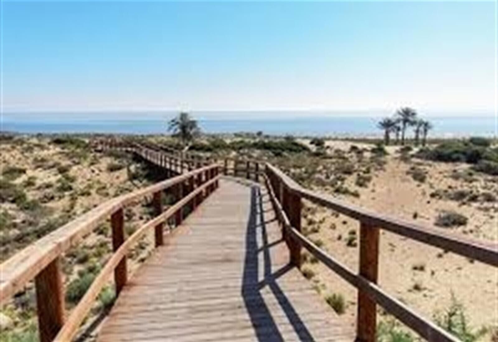 Un malecón de madera que conduce a una playa con dunas y vegetación escasa.