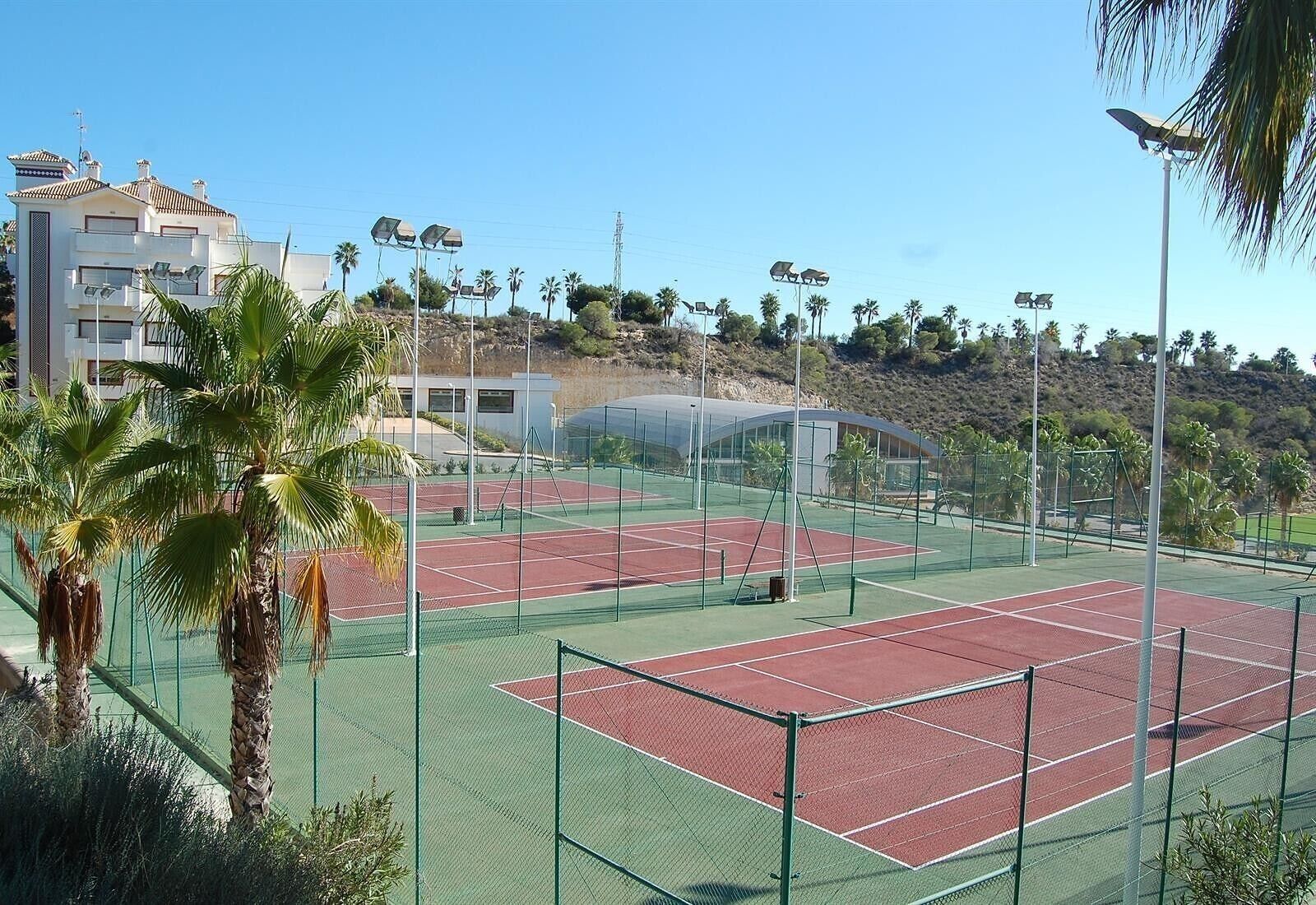 A tennis court with a net, surrounded by a green fence, palm trees, and buildings in the background.