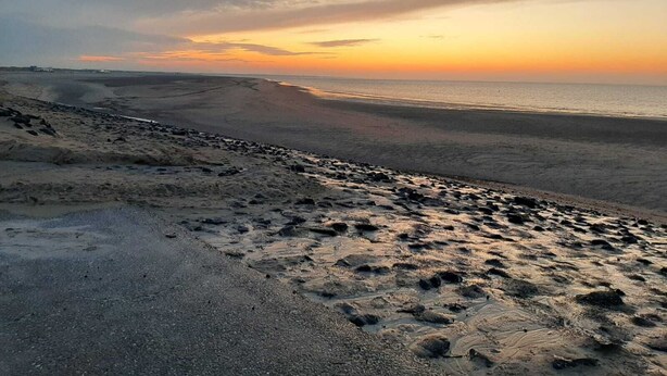 Ein Strand mit einer weiten Sandfläche und einem felsigen Vordergrund.