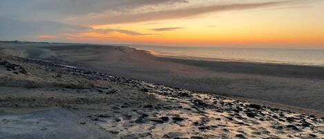 Beach nearby, sun loungers