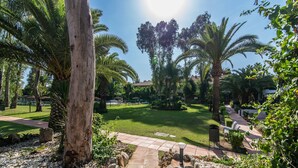Un jardín ajardinado con palmeras, un sendero pavimentado y una zona verde.