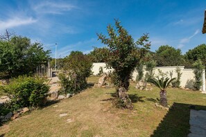 A garden with a pathway, a palm tree, and a building in the background.