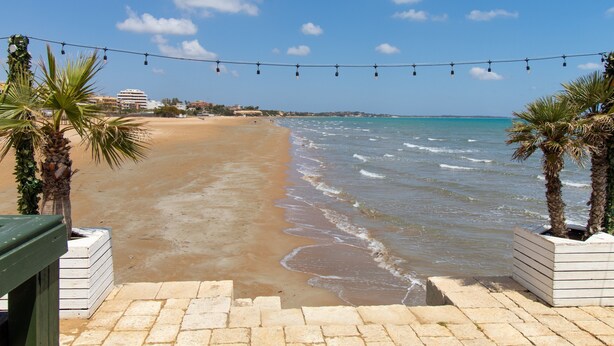 Ein Strand mit blauem Himmel, Palmen und einer Lichterkette.