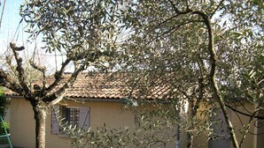 Una casa con techo de tejas, un pequeño jardín y un árbol en primer plano.