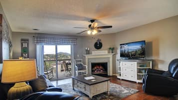 TV, fireplace, DVD player, video library