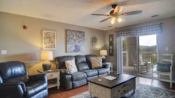TV, fireplace, DVD player, video library