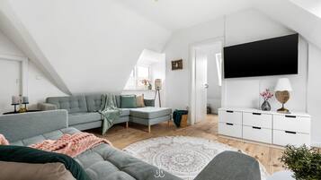 TV, video library